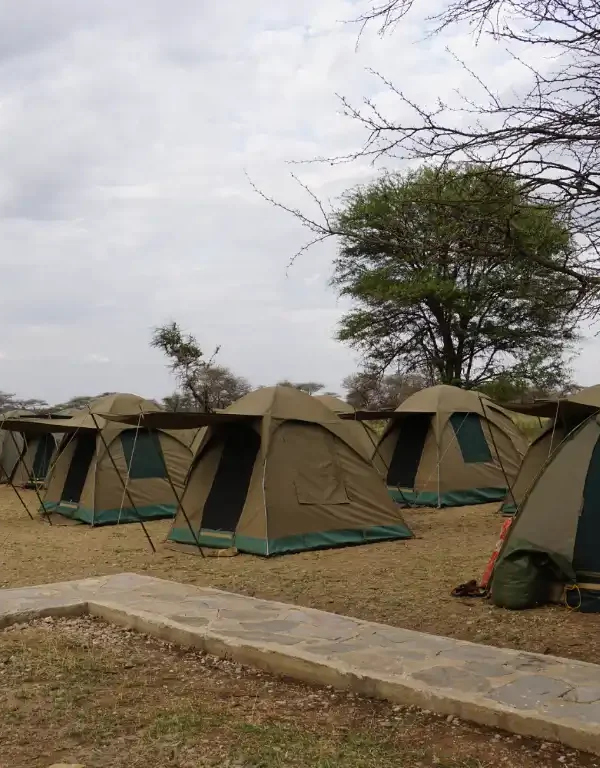 Pimbi Campsite